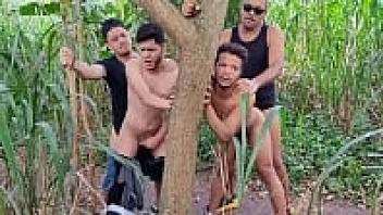 หนังXเกย์แนวเย็ดหมู่ พาหนุ่มสายเหลืองอัดตูดในป่าละเมาะ กอดต้นไม้เย็ดท่าซอยยิกๆ gay porn ยืนเย็ดท่าหมาจัดหนักให้แตกในคาร่องตูด